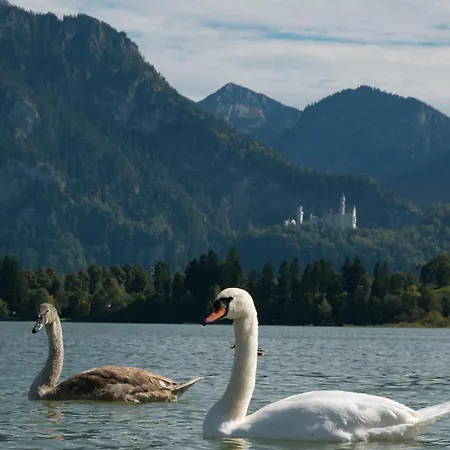 Alpina Sonnen-appartements Incl Xl-sonnen-terrasse & Koenigscard