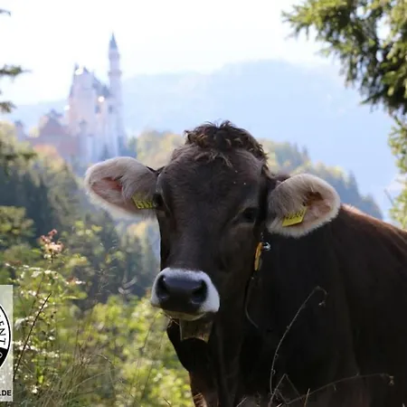 Alpina Sonnen-appartements Incl Xl-sonnen-terrasse & Koenigscard 公寓