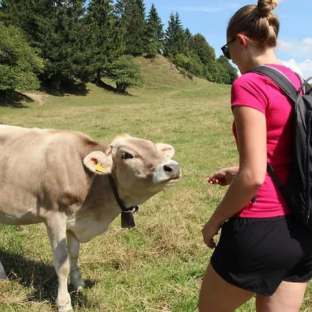 Διαμέρισμα Alpina Sonnen-appartements Incl Xl-sonnen-terrasse & Koenigscard