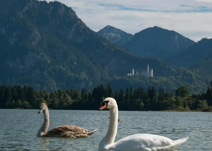 Alpina Sonnen-appartements Incl Xl-sonnen-terrasse & Koenigscard