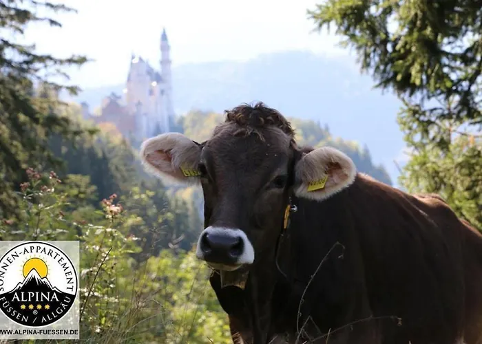 Alpina Sonnen-appartements Incl Xl-sonnen-terrasse & Koenigscard Appartamento