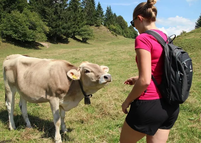 Appartamento Alpina Sonnen-appartements Incl Xl-sonnen-terrasse & Koenigscard